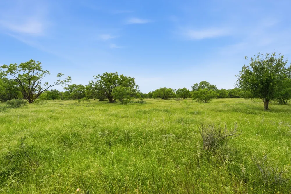 FM 880 Moran, TX 76464