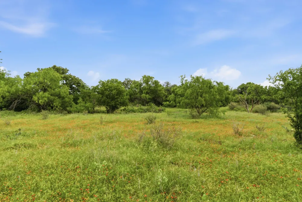 FM 880 Moran, TX 76464