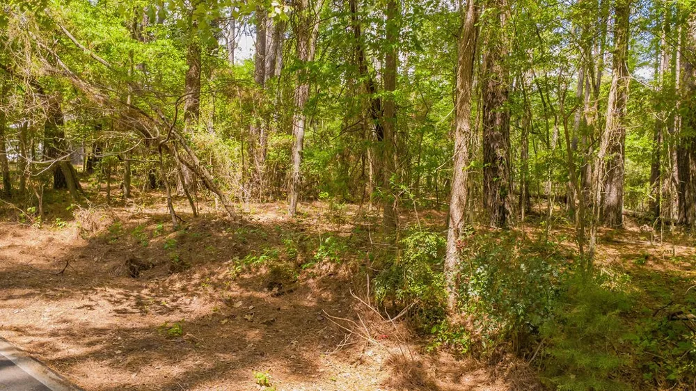 1723 Pineview Lane Hideaway, TX 75771