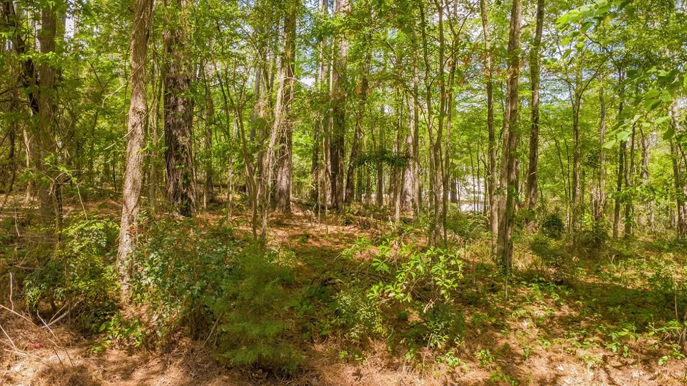 1723 Pineview Lane Hideaway, TX 75771