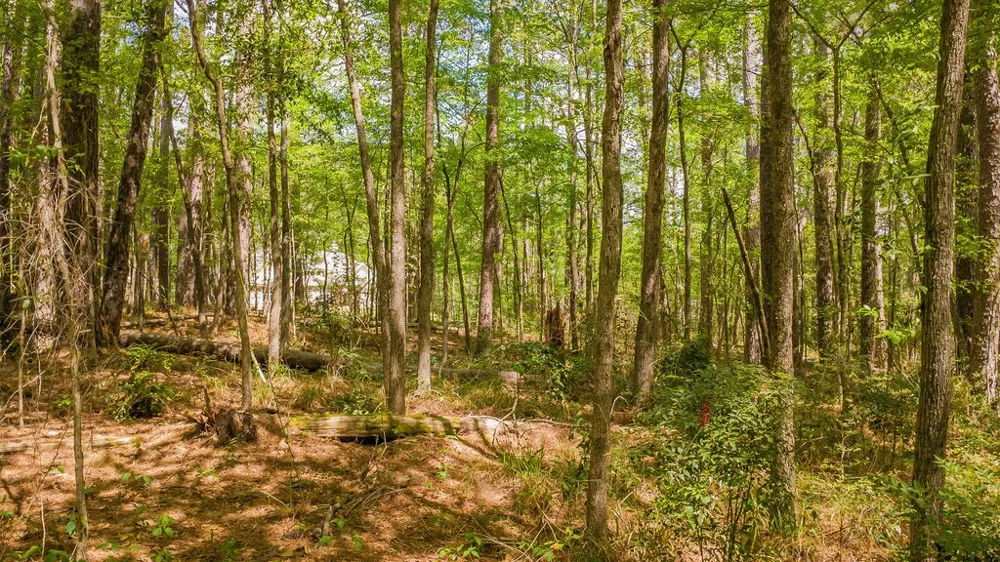 1723 Pineview Lane Hideaway, TX 75771