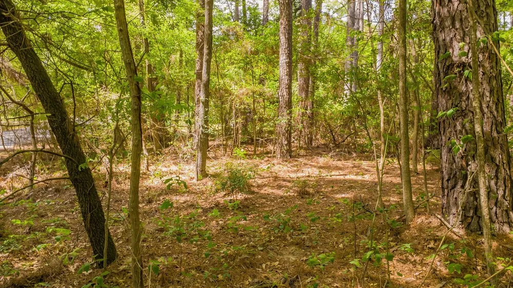 1723 Pineview Lane Hideaway, TX 75771