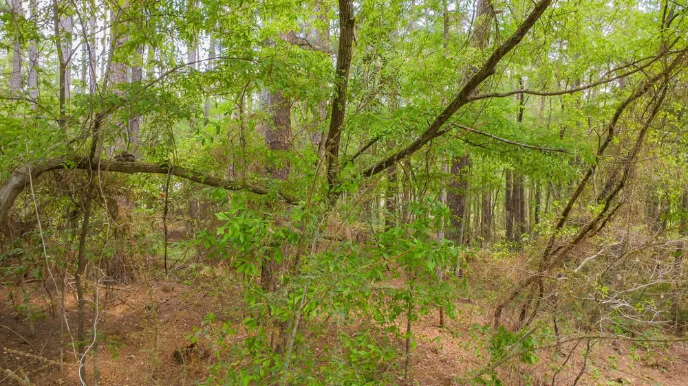 1723 Pineview Lane Hideaway, TX 75771