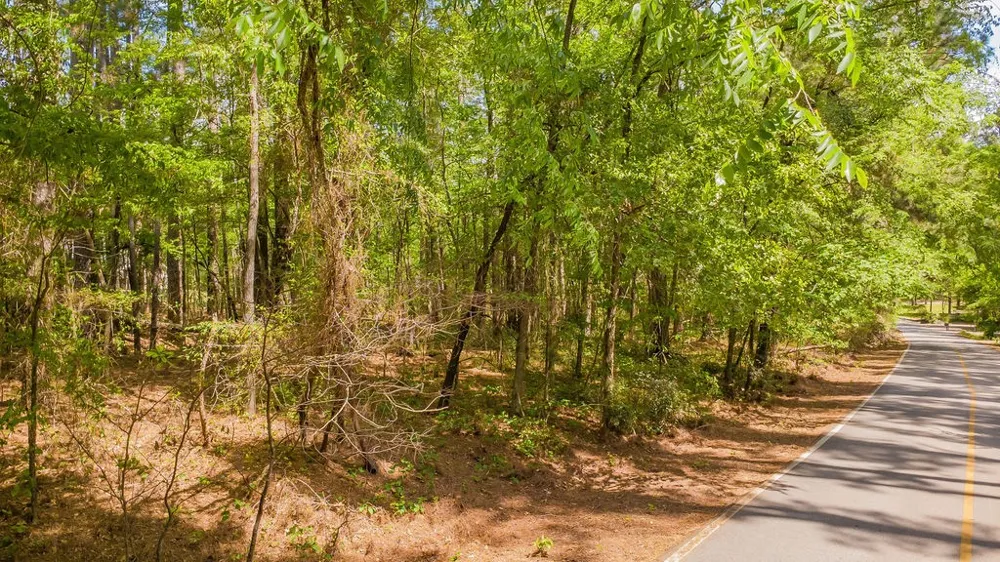 1723 Pineview Lane Hideaway, TX 75771