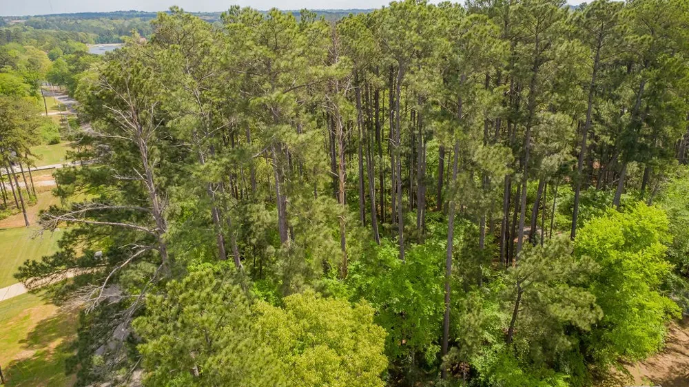 1723 Pineview Lane Hideaway, TX 75771