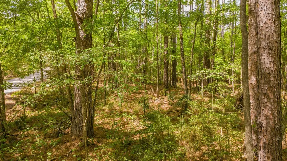 1723 Pineview Lane Hideaway, TX 75771