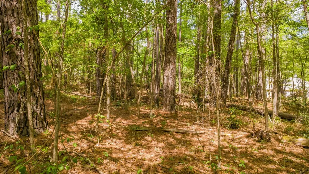 1723 Pineview Lane Hideaway, TX 75771