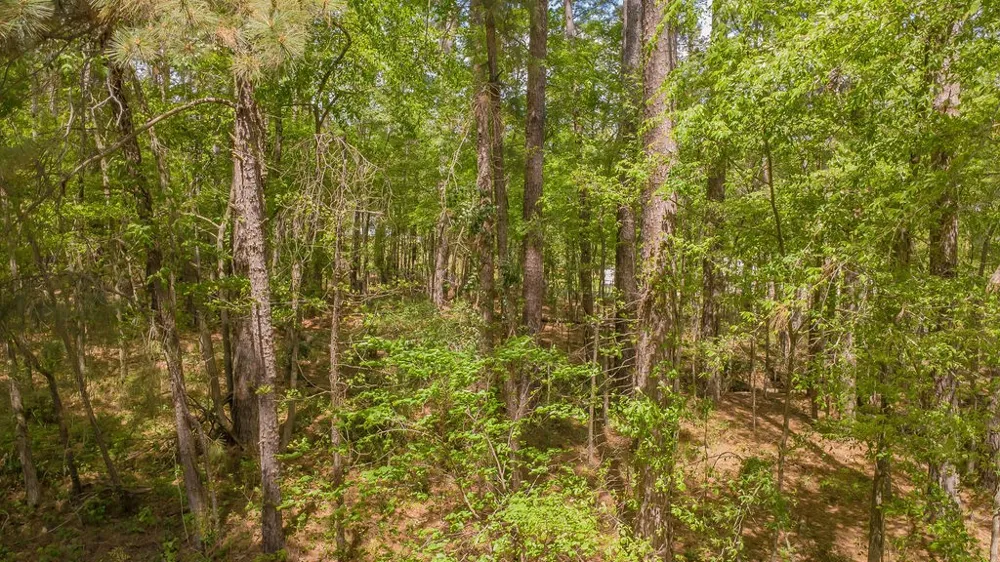 1723 Pineview Lane Hideaway, TX 75771
