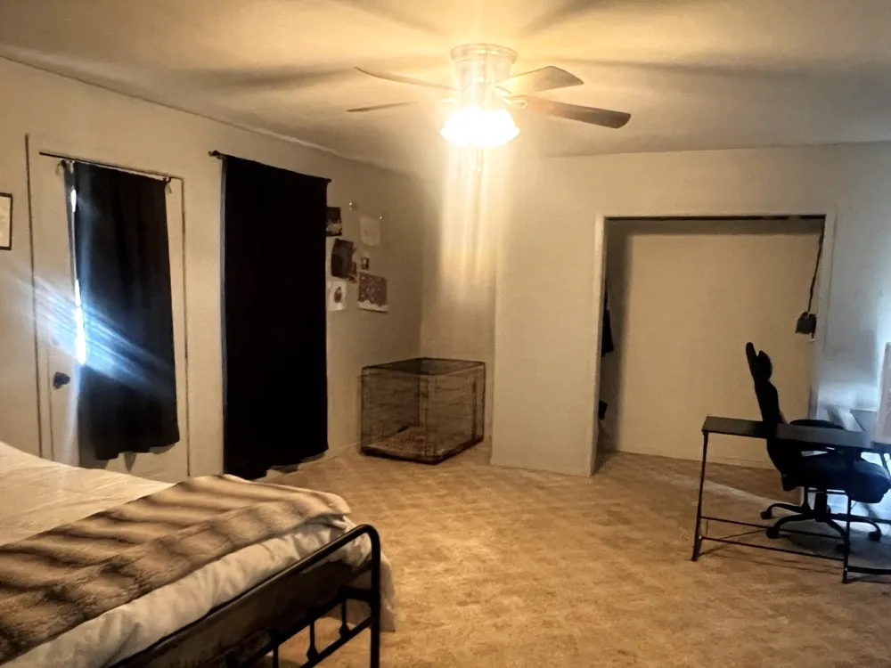 4997 FM 1001 Cookville, TX 75558