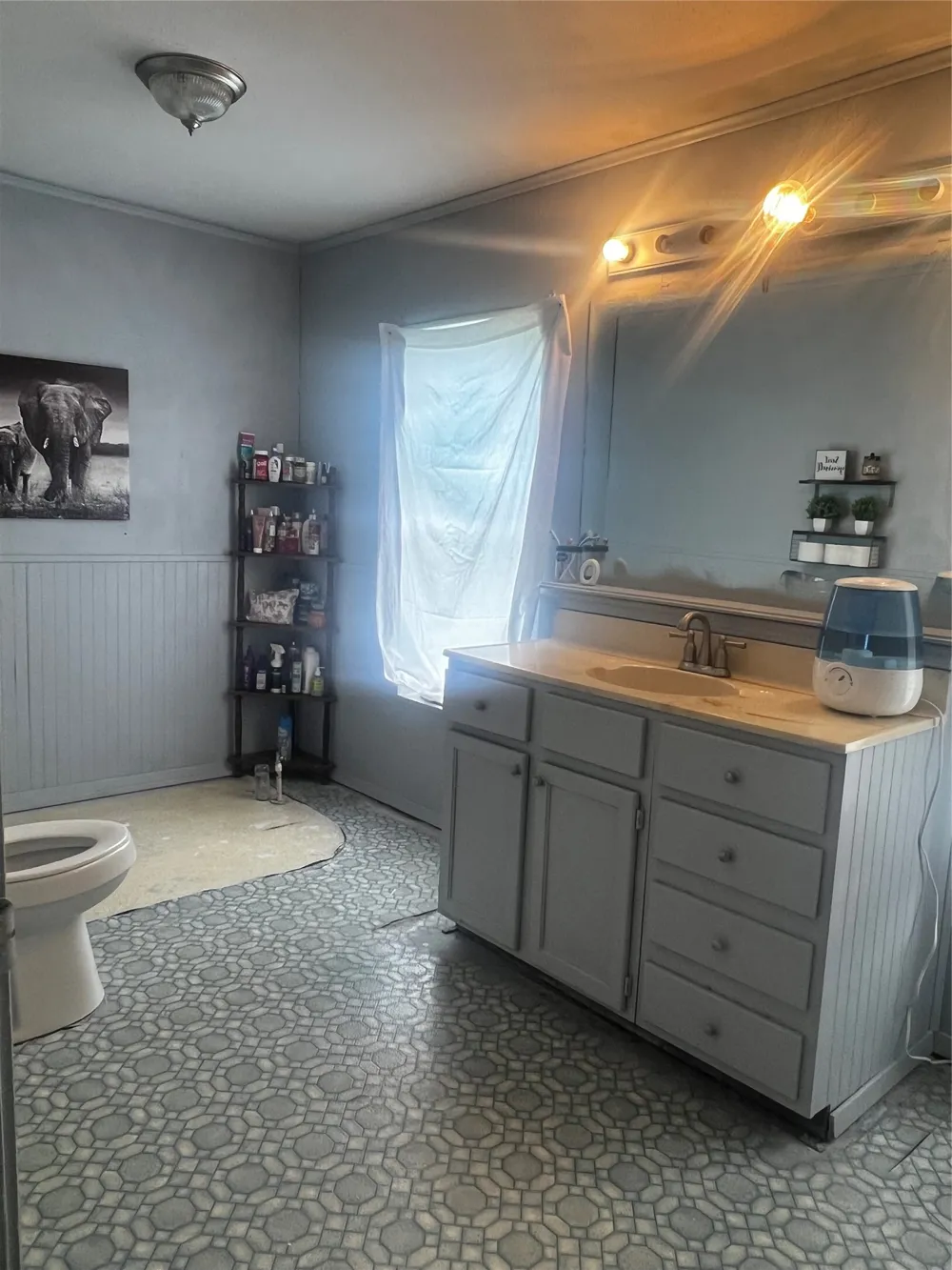 4997 FM 1001 Cookville, TX 75558
