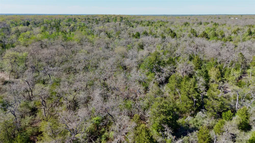100 PR 617 Kosse, TX 76653