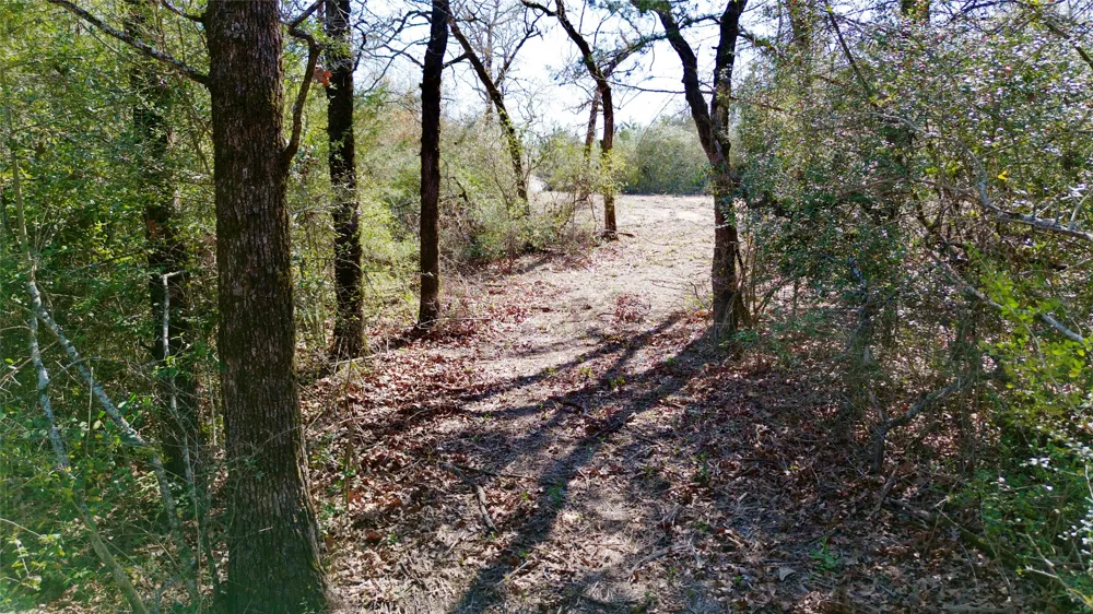 100 PR 617 Kosse, TX 76653