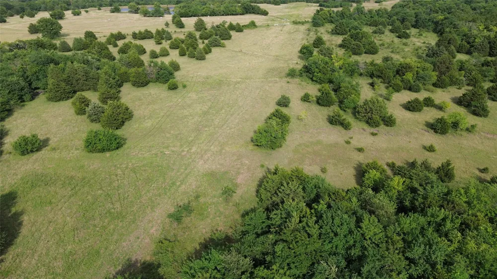 4081 FM 2736 #C Campbell, TX 75422