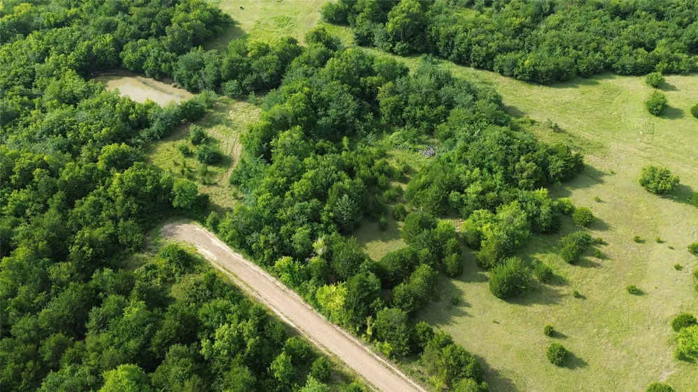 4081 FM 2736 #C Campbell, TX 75422