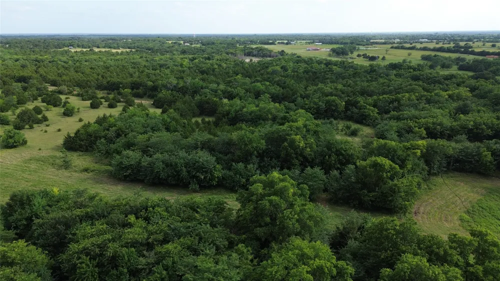 4081 FM 2736 #C Campbell, TX 75422