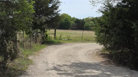 1975 County Road 1025