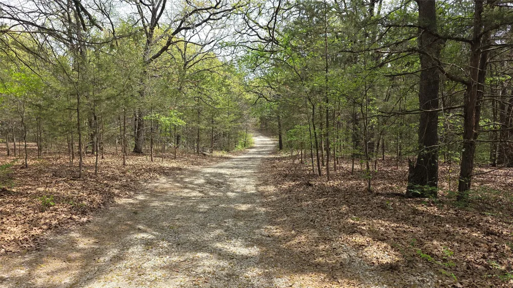 1975 County Road 1025 Ravenna, TX 75476