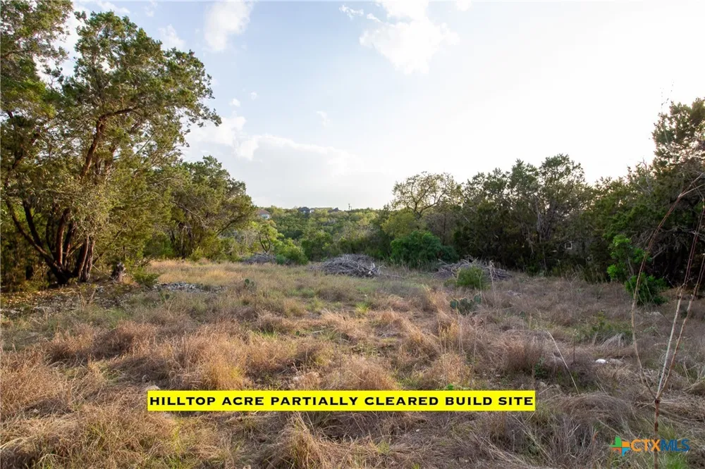 1193 Estate Drive New Braunfels, TX 78132