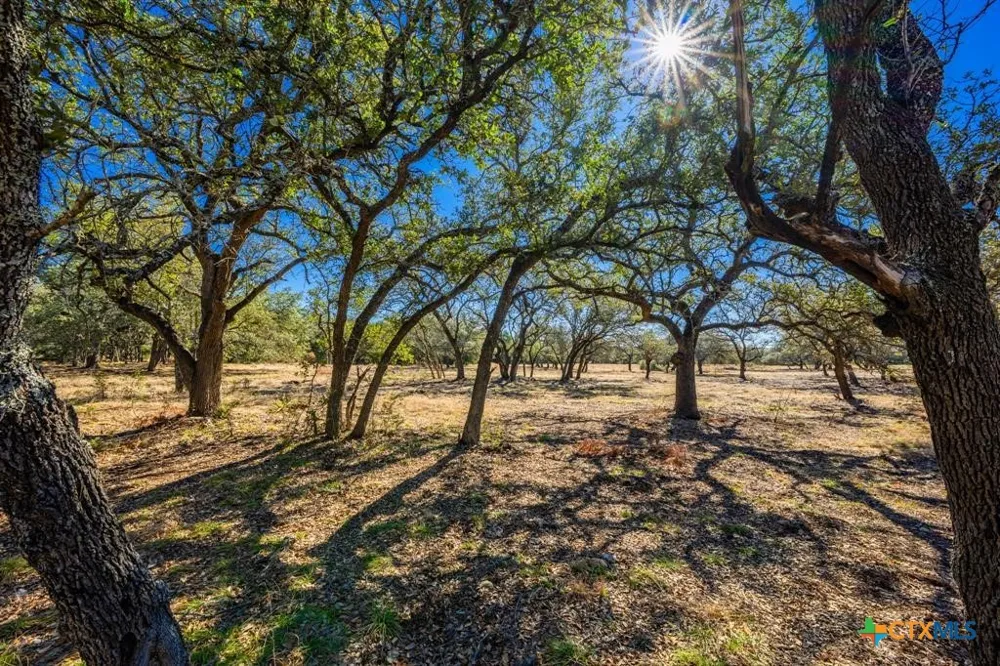 4772 County Road 340 Burnet, TX 76905