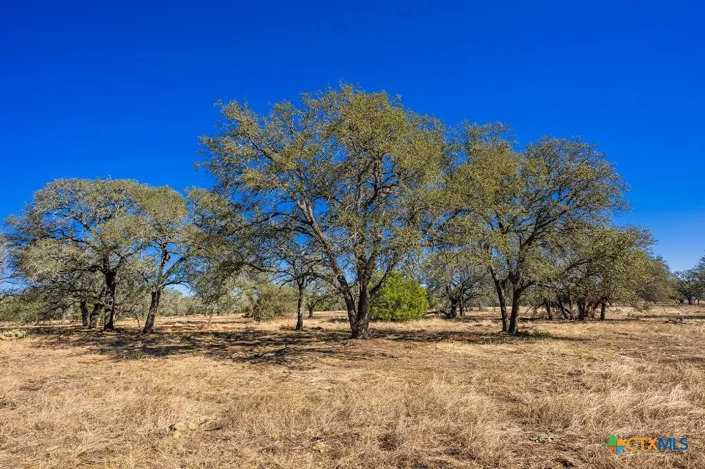 4772 County Road 340 Burnet, TX 76905