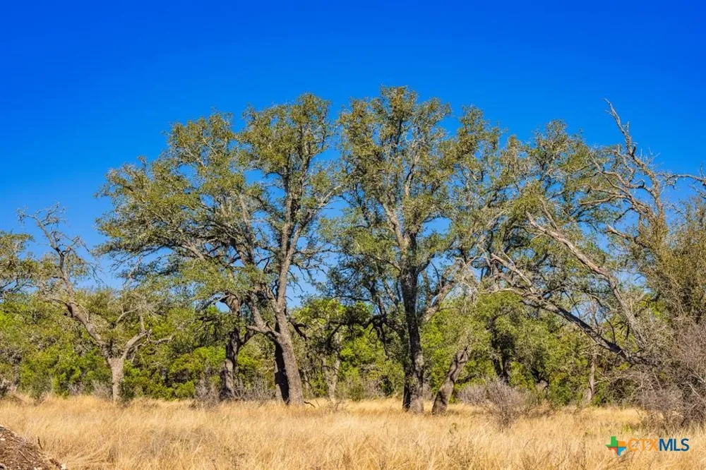 4772 County Road 340 Burnet, TX 76905