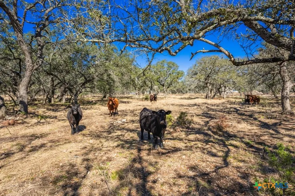 4772 County Road 340 Burnet, TX 76905