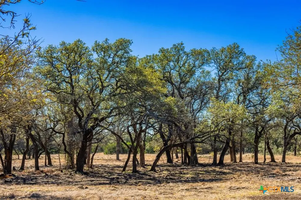 4772 County Road 340 Burnet, TX 76905