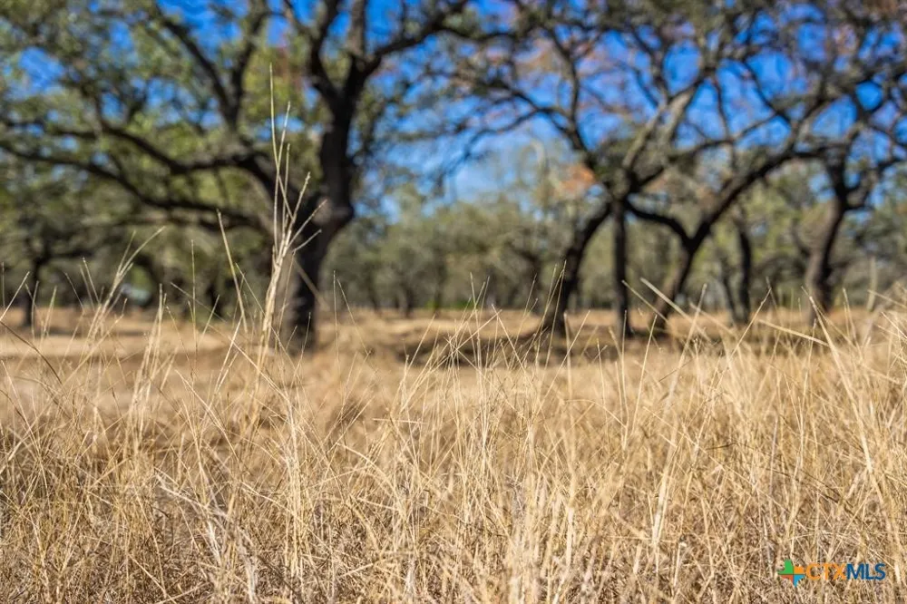 4772 County Road 340 Burnet, TX 76905