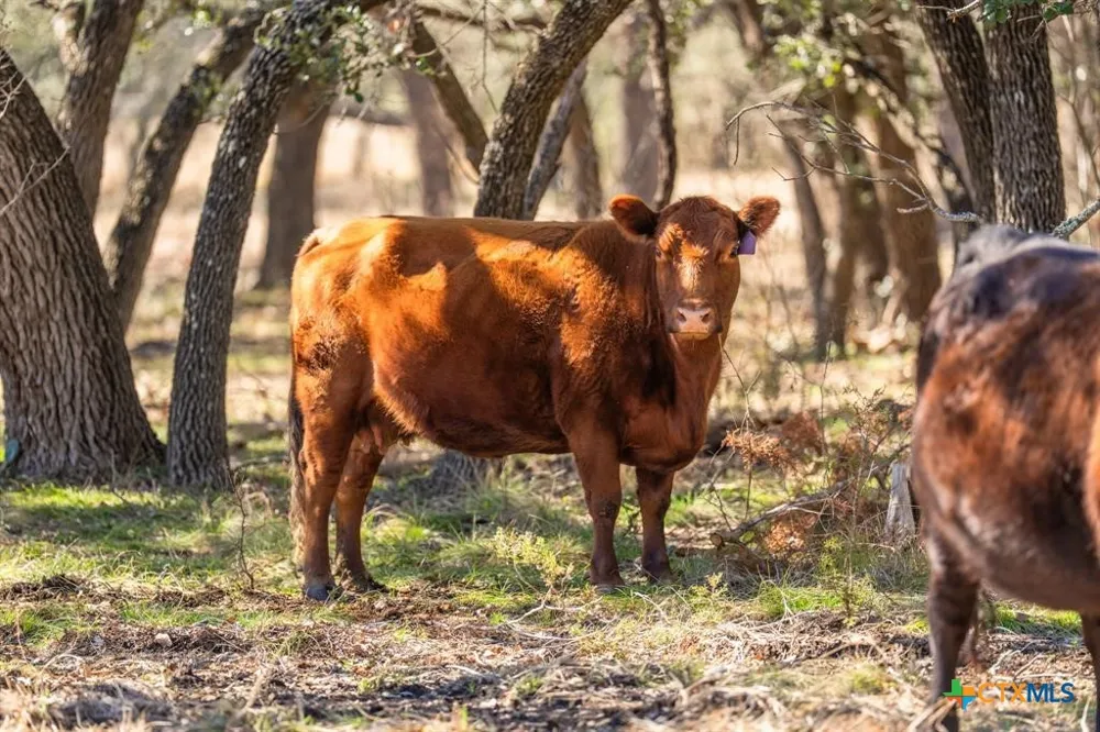 4772 County Road 340 Burnet, TX 76905