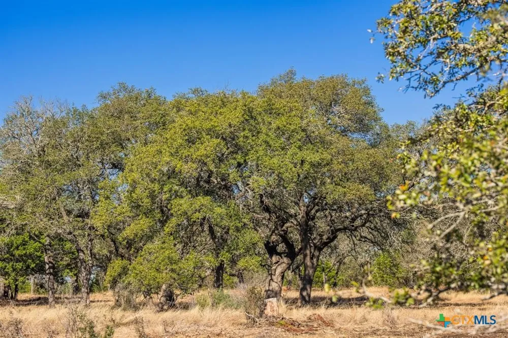 4772 County Road 340 Burnet, TX 76905