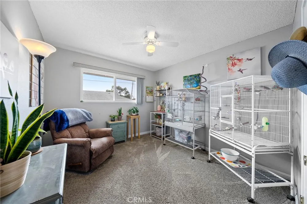 494 S Whipple Street Fort Bragg, CA 95437