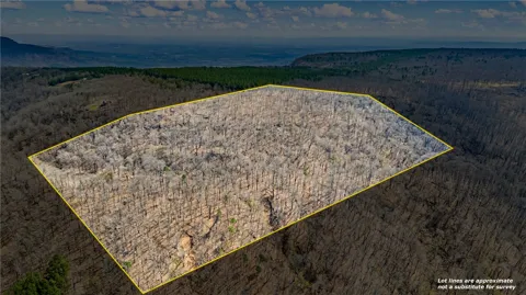 40 Acres