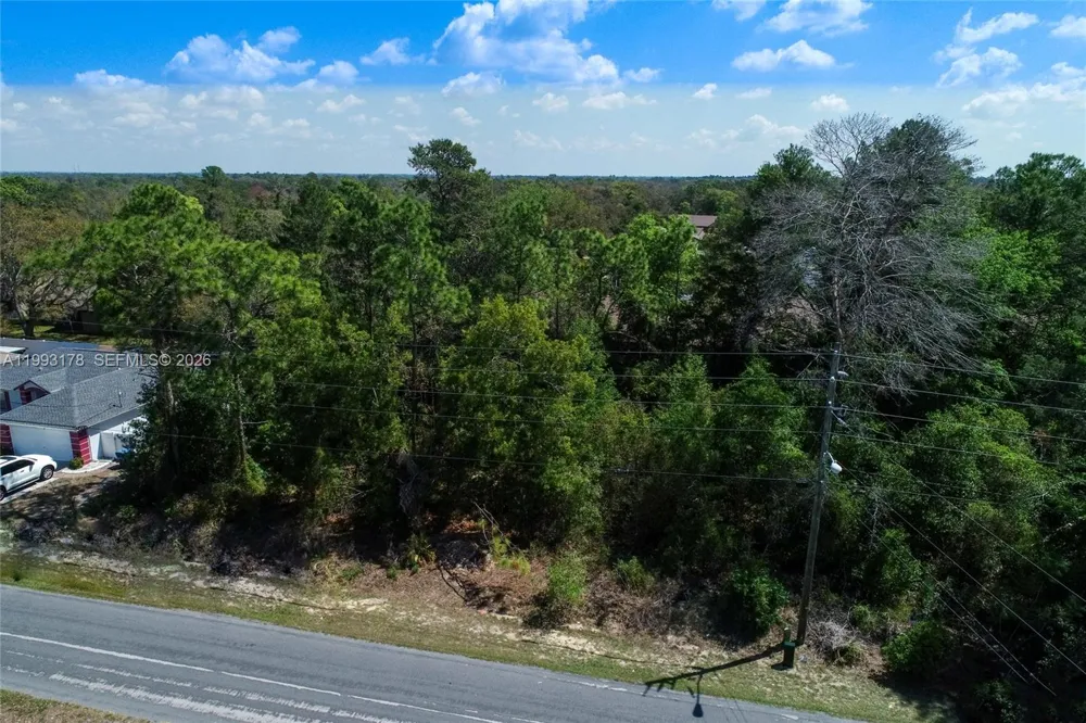 TOMAHAWK AVE Spring Hill, FL 34606