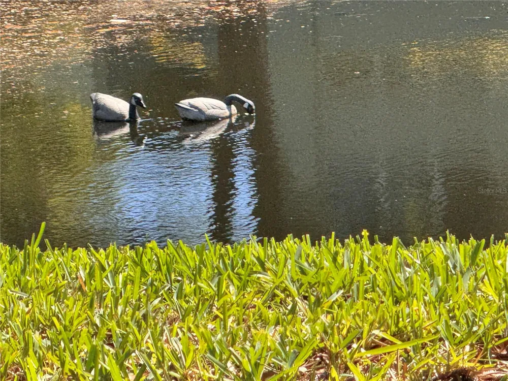 1250 S PINELLAS AVENUE #804 Tarpon Springs, FL 34689