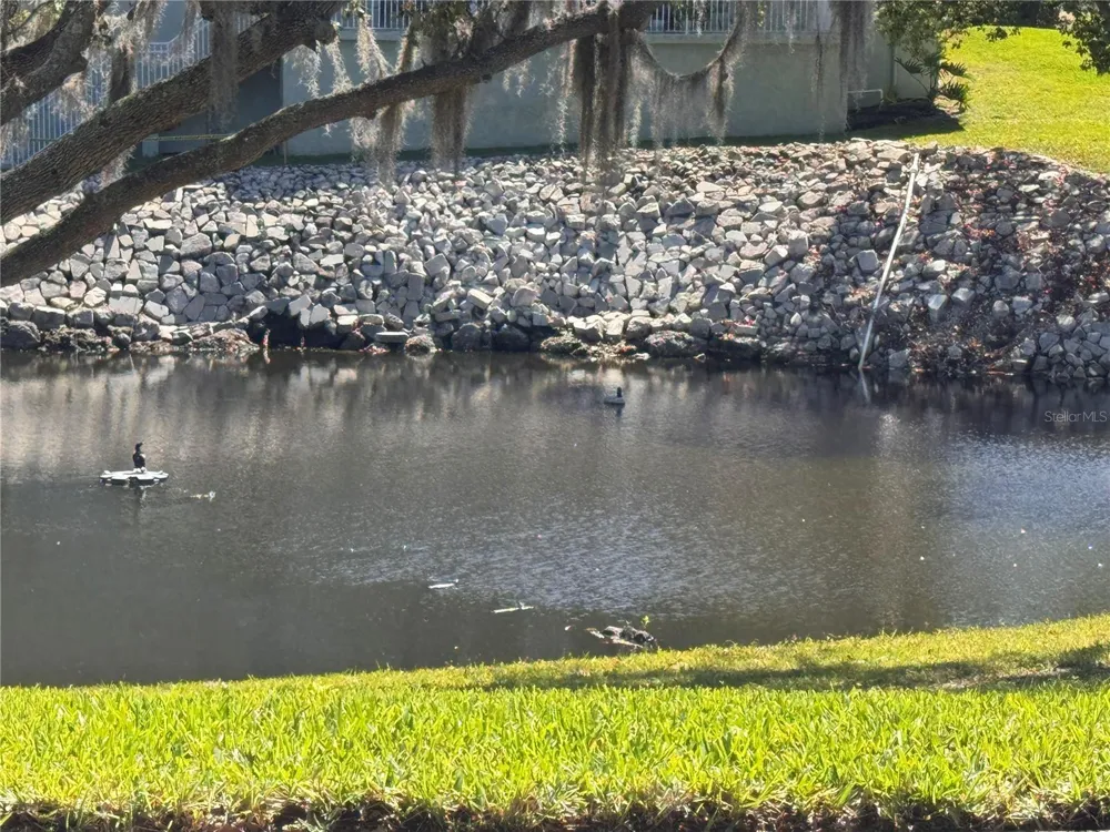 1250 S PINELLAS AVENUE #804 Tarpon Springs, FL 34689
