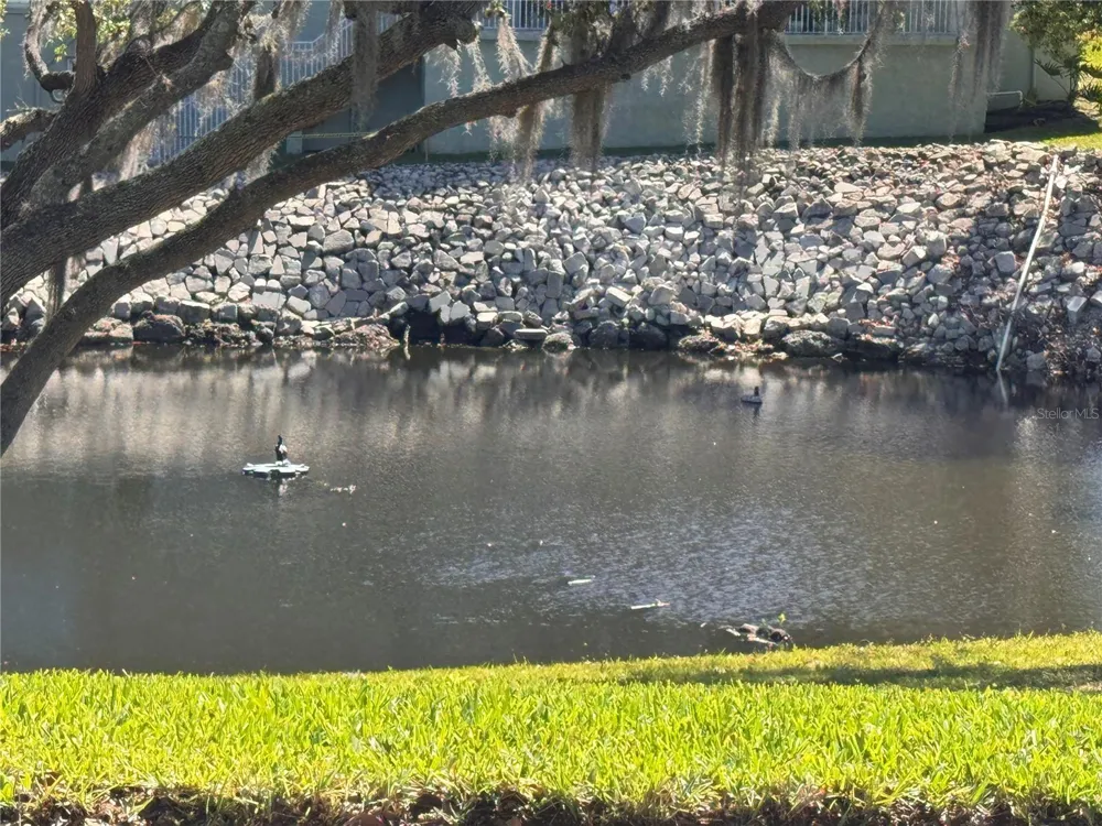 1250 S PINELLAS AVENUE #804 Tarpon Springs, FL 34689
