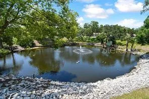 1250 S PINELLAS AVENUE #804 Tarpon Springs, FL 34689