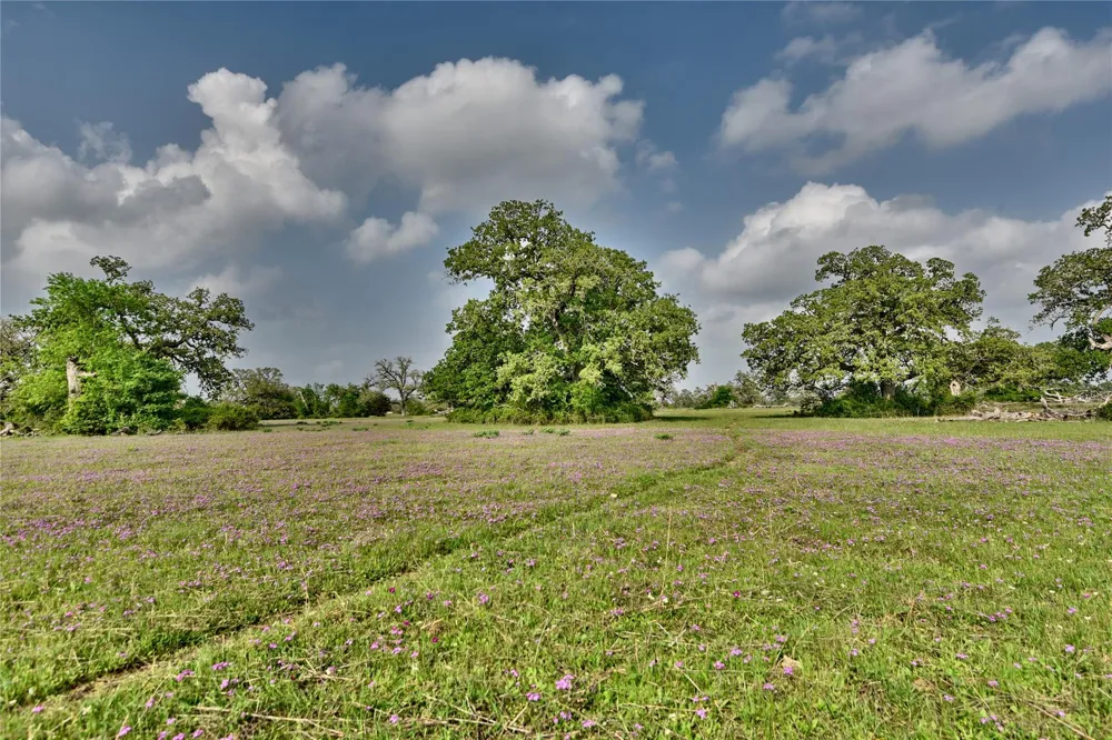 40 Fm 141 Giddings, TX 78942