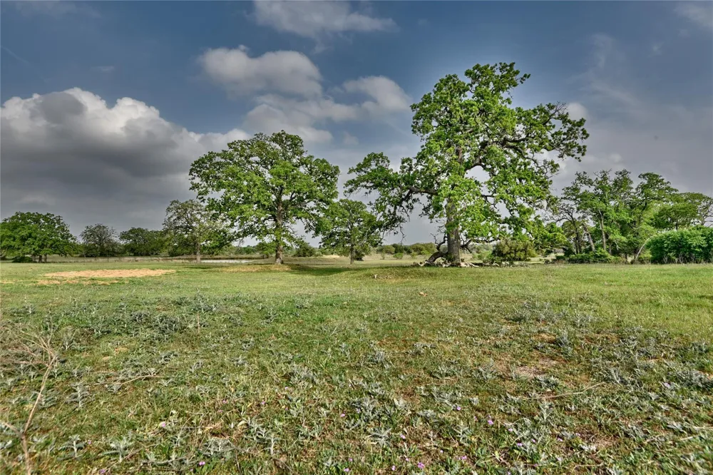 47 Fm 141 Giddings, TX 78942