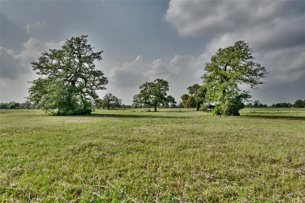 47 Fm 141 Giddings, TX 78942