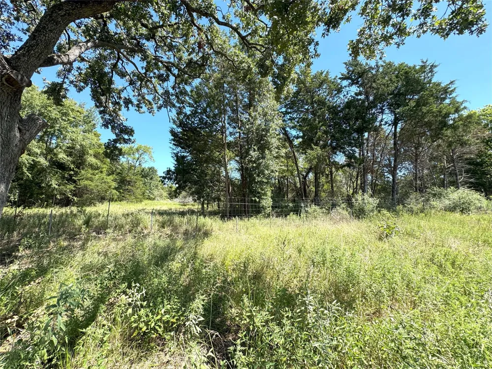 240 County Road 920 Mexia, TX 76667