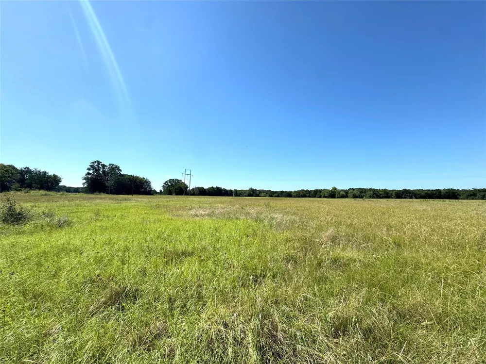 240 County Road 920 Mexia, TX 76667