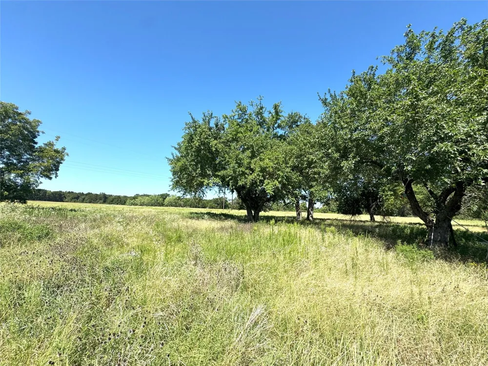 240 County Road 920 Mexia, TX 76667