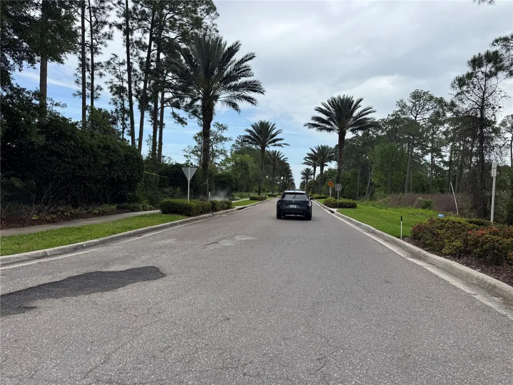 14501 GROVE RESORT AVENUE #1110 Winter Garden, FL 34787