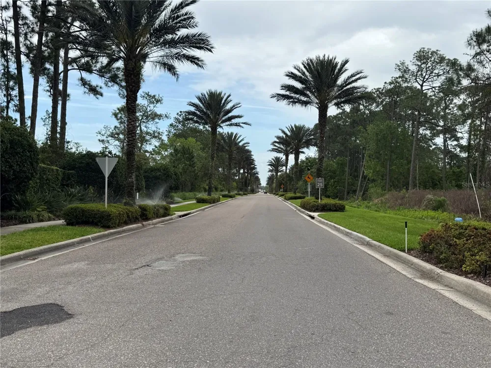 14501 GROVE RESORT AVENUE #1110 Winter Garden, FL 34787