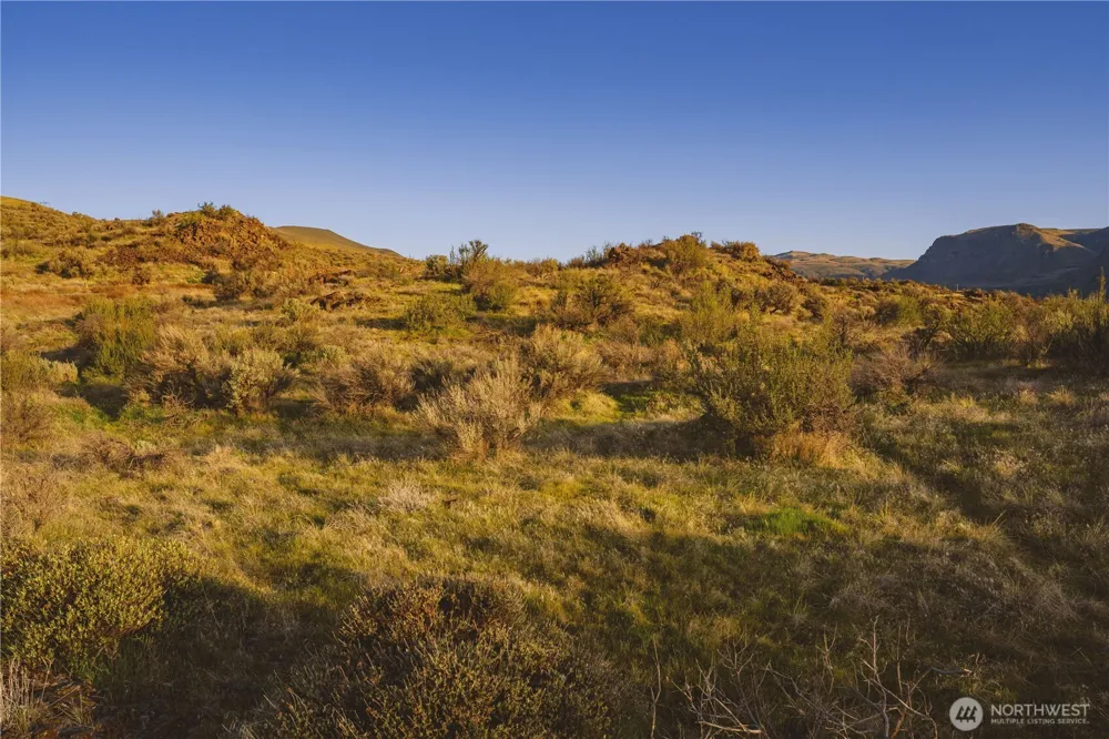375 Ravenwing Lane Malaga, WA 98828
