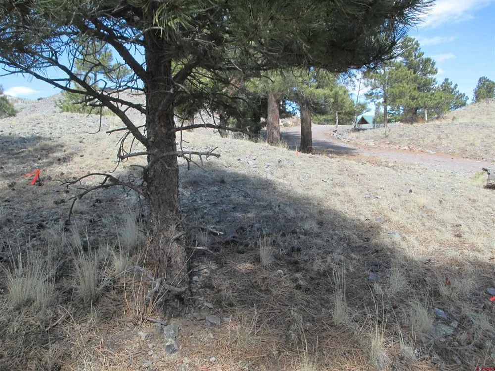 410 Gold Avenue Lake City, CO 81235