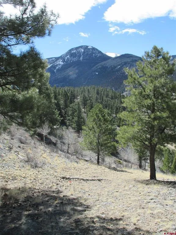 410 Gold Avenue Lake City, CO 81235