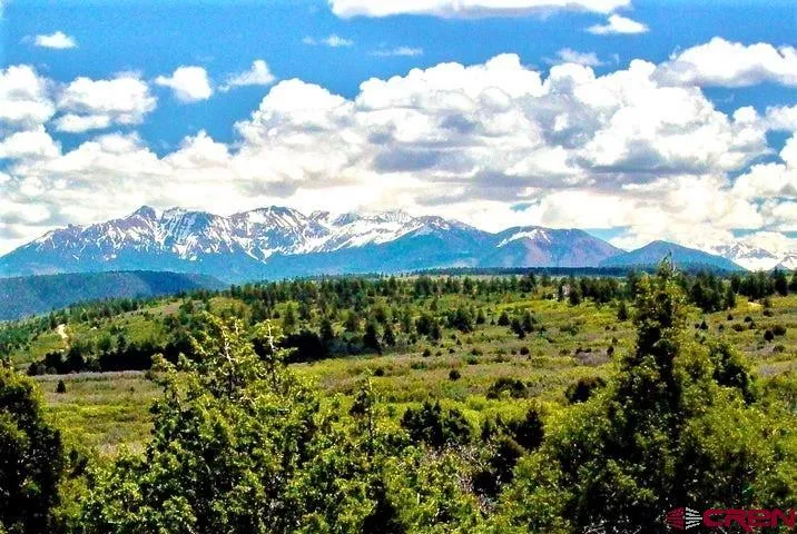 10 North  Reserve Trail Norwood, CO 81423
