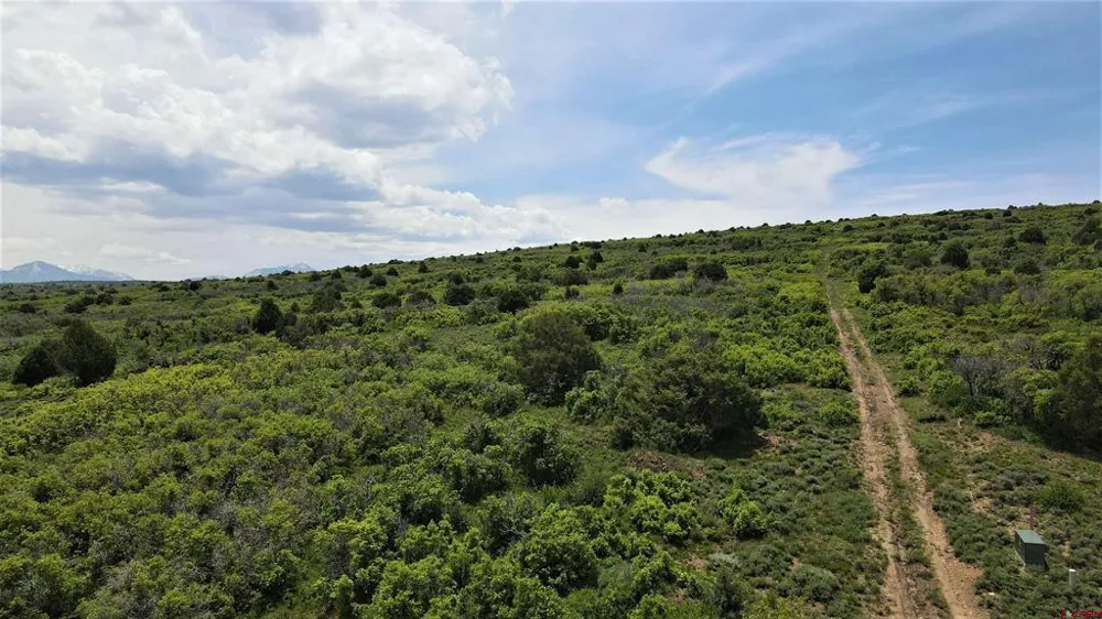 10 North  Reserve Trail Norwood, CO 81423